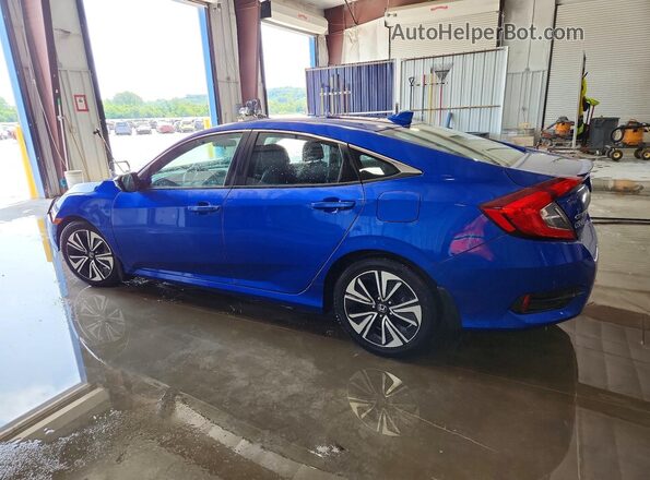 19XFC1F36HE017431 2017 HONDA CIVIC Синий Задняя левая четверть