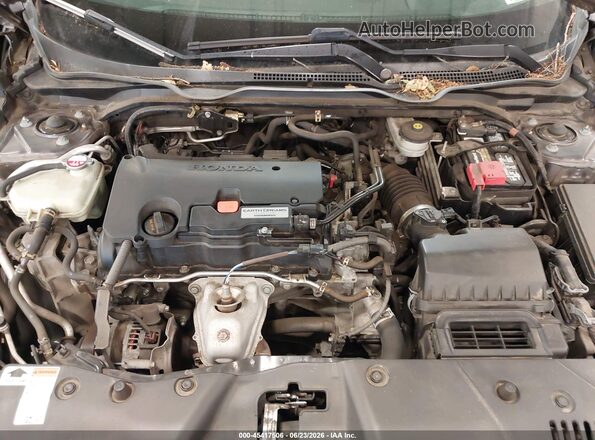 19XFC2F53HE050331 2017 HONDA CIVIC Gray Հետևի տեսք