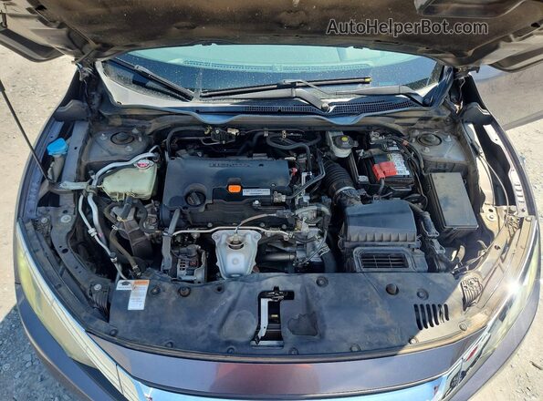 19XFC2F72GE028613 2016 HONDA CIVIC Gray Սալոնի հետևի տեսք