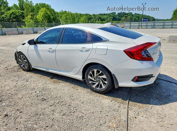 19XFC2F77HE004003 2017 HONDA CIVIC White Rear left