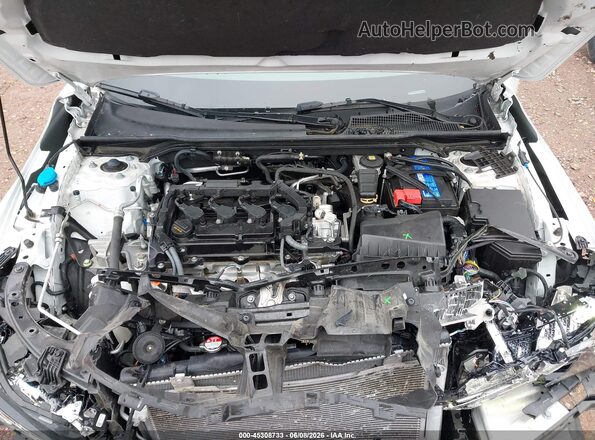 19XFL2H81SE009582 2025 HONDA CIVIC White Հետևի տեսք