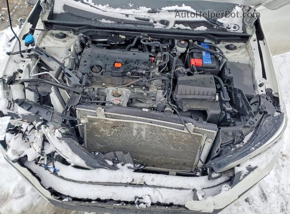 19XFL2H82RE037417 2024 HONDA CIVIC White Widok wnętrza z tyłu