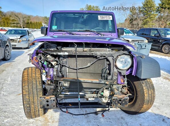 1C4BJWDGXHL590704 2017 JEEP WRANGLER Purple Դիմացի տեսք
