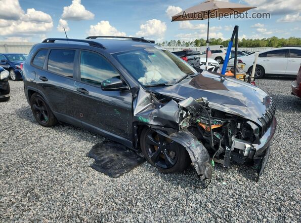1C4PJLAB5HW540966 2017 JEEP CHEROKEE Gray 