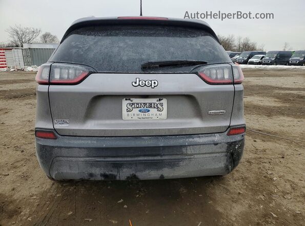 1C4PJLCB2LD577166 2020 JEEP CHEROKEE Silver უკანა ხედი