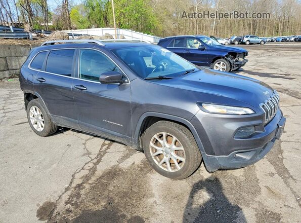 1C4PJLCB3GW114396 2016 JEEP CHEROKEE Серый 