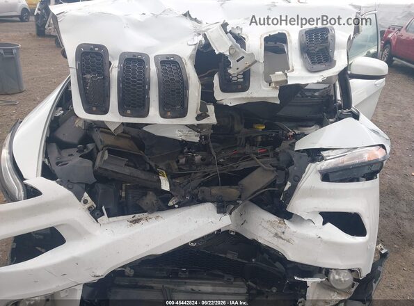 1C4PJLCB4HW603522 2017 JEEP CHEROKEE Белый Вид сзади