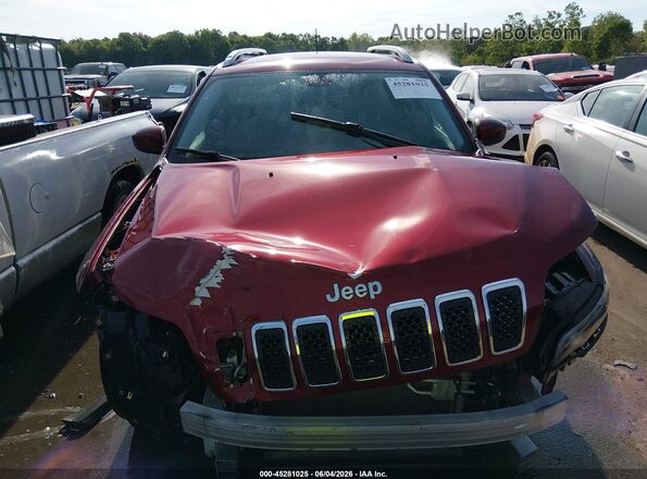 1C4PJLCB5KD145072 2019 JEEP CHEROKEE Red Widok wnętrza z tyłu