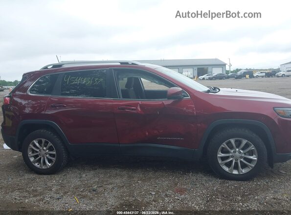 1C4PJLCB7KD486506 2019 JEEP CHEROKEE Красный Вид задней части салона