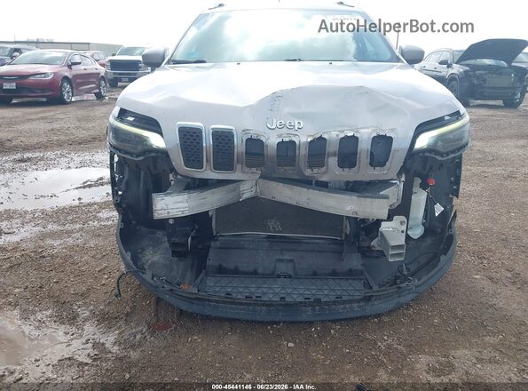 1C4PJLCB8KD382073 2019 JEEP CHEROKEE Silver Դիմացի տեսք