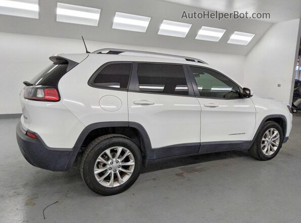 1C4PJLCB8LD561618 2020 JEEP CHEROKEE White უკანა მარჯვენა