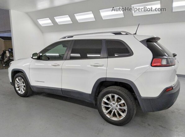 1C4PJLCB8LD561618 2020 JEEP CHEROKEE White უკანა მარცხენა