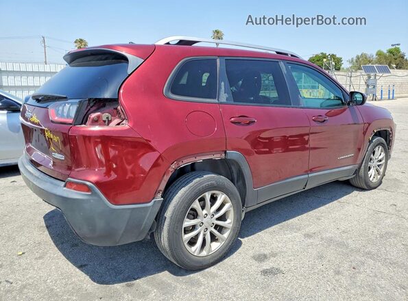 1C4PJLCB8LD586387 2020 JEEP CHEROKEE Red უკანა მარჯვენა