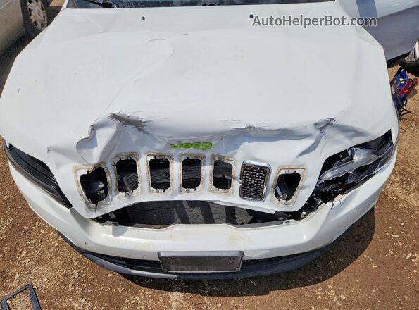 1C4PJLCX1KD145663 2019 JEEP CHEROKEE Белый Вид задней части салона
