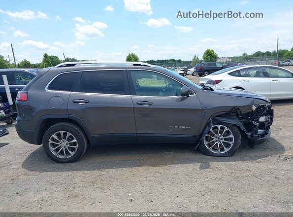 1C4PJLLB1KD154402 2019 JEEP CHEROKEE Gray Սալոնի հետևի տեսք