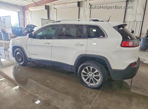 1C4PJLLB1KD186847 2019 JEEP CHEROKEE White Հետևի ձախ
