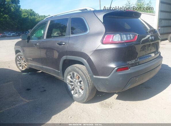 1C4PJLLB3KD154594 2019 JEEP CHEROKEE Gray 