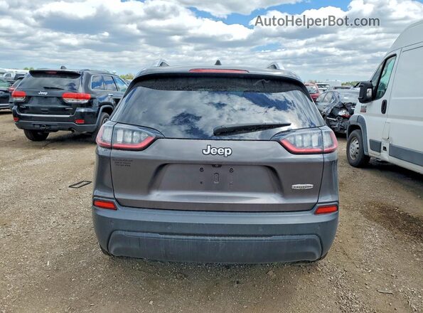 1C4PJLLB5KD317827 2019 JEEP CHEROKEE Gray Widok z tyłu