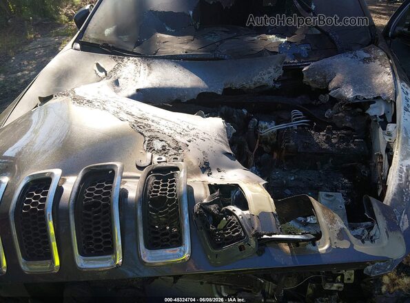 1C4PJLLB9JD544601 2018 JEEP CHEROKEE Black Widok z tyłu
