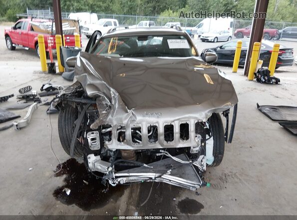 1C4PJLLX1KD243589 2019 JEEP CHEROKEE Brown Вид щитка приладів