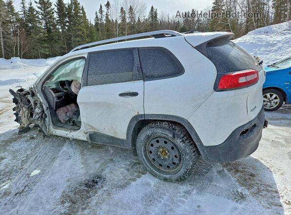 1C4PJMAS9GW358174 2016 JEEP CHEROKEE White Tył lewy