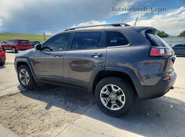 1C4PJMBN4KD436907 2019 JEEP CHEROKEE Gray Tył lewy