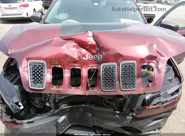 1C4PJMBN6LD539618 2020 JEEP CHEROKEE Maroon Widok z tyłu