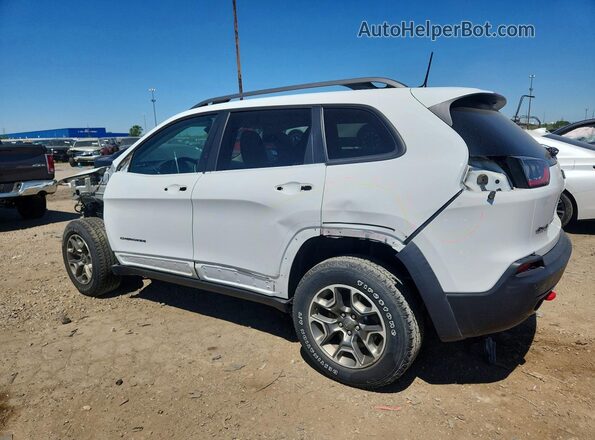1C4PJMBN8LD540270 2020 JEEP CHEROKEE White Tył lewy