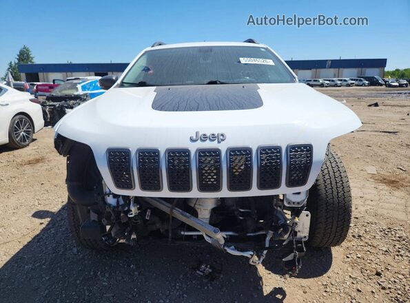 1C4PJMBN8LD540270 2020 JEEP CHEROKEE White Widok z przodu