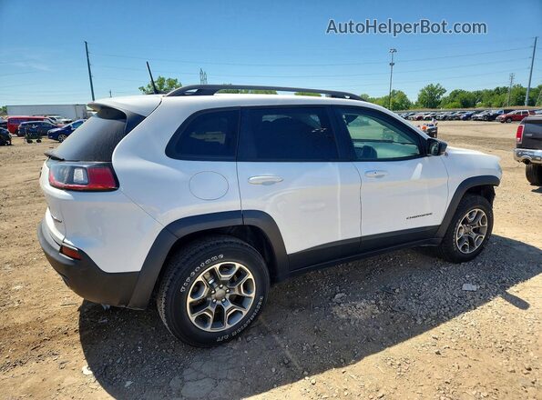 1C4PJMBN8LD540270 2020 JEEP CHEROKEE White Tył prawy