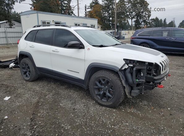 1C4PJMBS8HW569768 2017 JEEP CHEROKEE Белый 