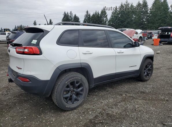 1C4PJMBS8HW569768 2017 JEEP CHEROKEE Белый 