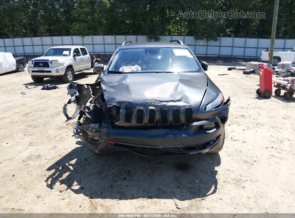 1C4PJMBS8HW599675 2017 JEEP CHEROKEE Gray Սալոնի հետևի տեսք