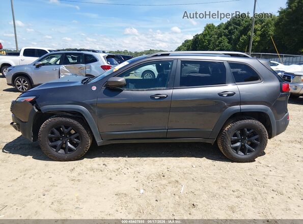1C4PJMBS8HW599675 2017 JEEP CHEROKEE Gray 