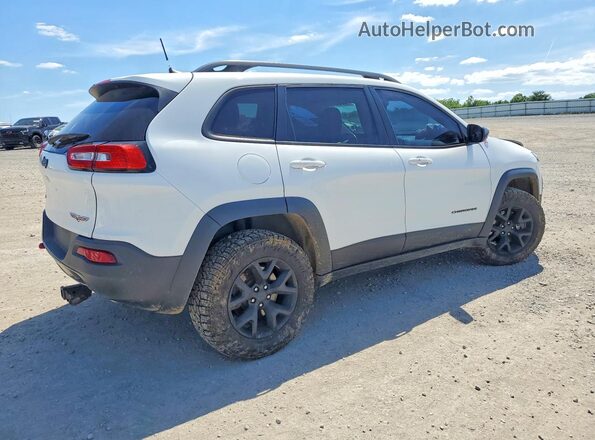 1C4PJMBS9HW618699 2017 JEEP CHEROKEE White Tył prawy