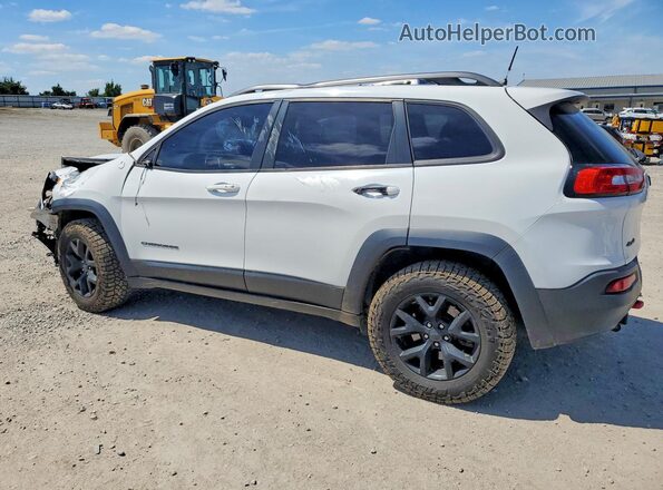 1C4PJMBS9HW618699 2017 JEEP CHEROKEE White Tył lewy