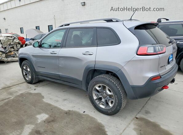 1C4PJMBX1KD259184 2019 JEEP CHEROKEE Silver უკანა მარცხენა