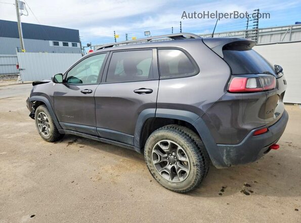 1C4PJMBX2LD517567 2020 JEEP CHEROKEE Gray 
