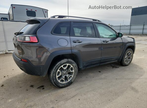 1C4PJMBX2LD517567 2020 JEEP CHEROKEE Gray 