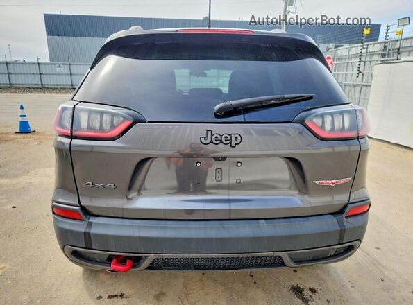 1C4PJMBX2LD517567 2020 JEEP CHEROKEE Gray 