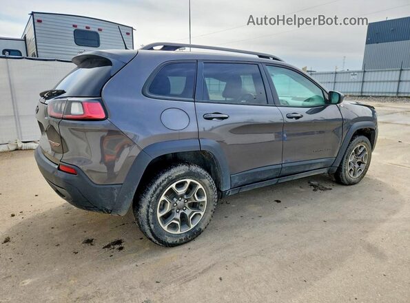 1C4PJMBX2LD517567 2020 JEEP CHEROKEE Gray 