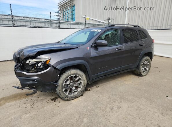 1C4PJMBX2LD517567 2020 JEEP CHEROKEE Gray 
