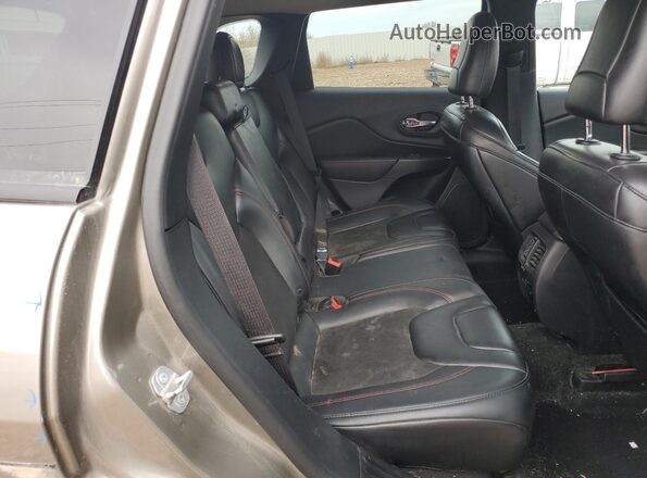 1C4PJMBX3KD458575 2019 JEEP CHEROKEE Tan Vista interior trasera