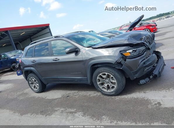 1C4PJMBX3LD515732 2020 JEEP CHEROKEE Gray Սալոնի հետևի տեսք