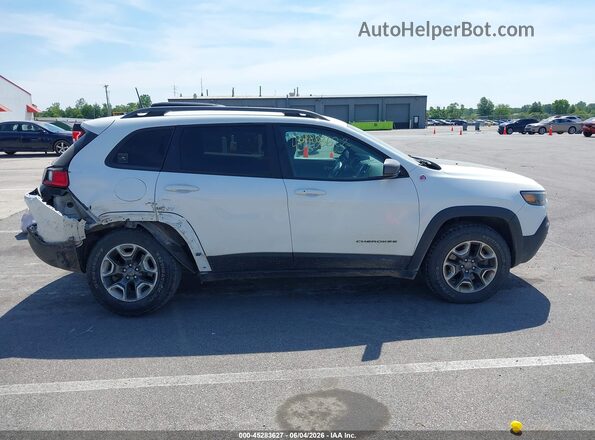 1C4PJMBX6KD415476 2019 JEEP CHEROKEE Белый Вид задней части салона
