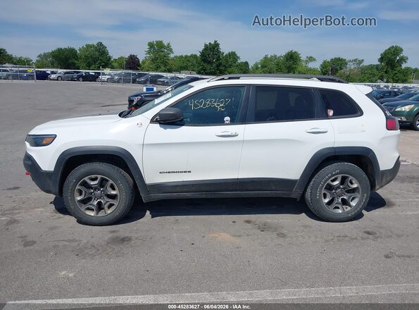 1C4PJMBX6KD415476 2019 JEEP CHEROKEE Белый Панорамный вид салона 360°