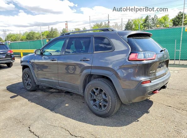 1C4PJMBX6KD426655 2019 JEEP CHEROKEE Gray უკანა მარცხენა