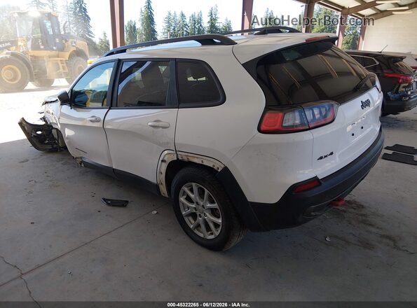 1C4PJMBX8LD515273 2020 JEEP CHEROKEE White უკანა მარცხენა
