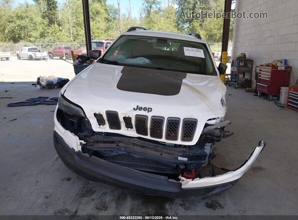 1C4PJMBX8LD515273 2020 JEEP CHEROKEE White უკანა სალონის ხედი