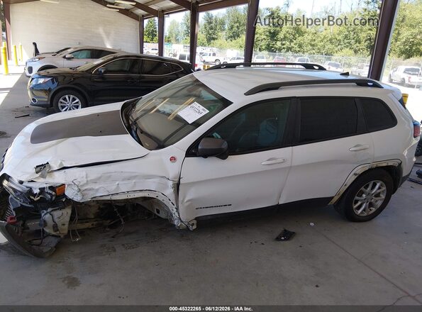 1C4PJMBX8LD515273 2020 JEEP CHEROKEE White 